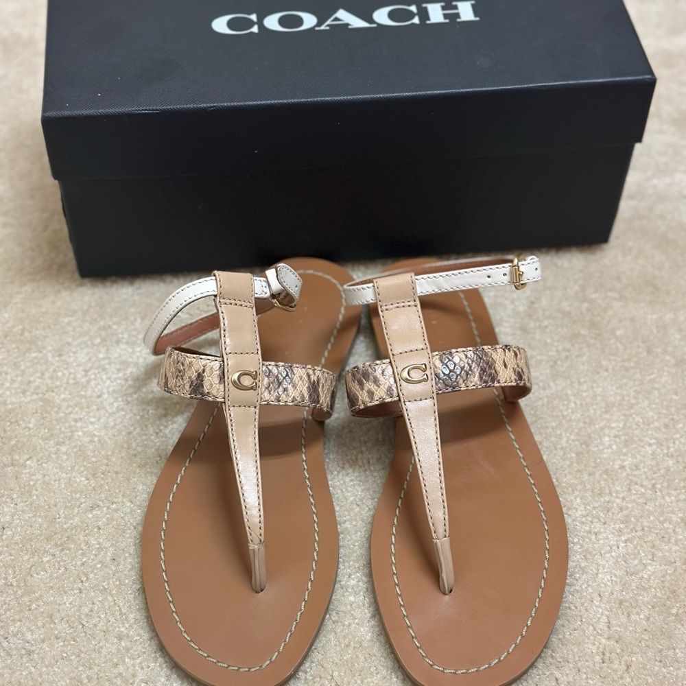 Coach Liza Sandals